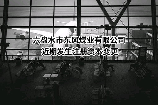 六盘水市东风煤业有限公司