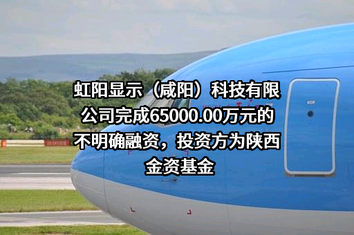 虹阳显示（咸阳）科技有限公司完成65000.00万元的不明确融资，投资方为陕西金资基金