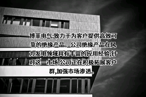 浙江博菲电气股份有限公司