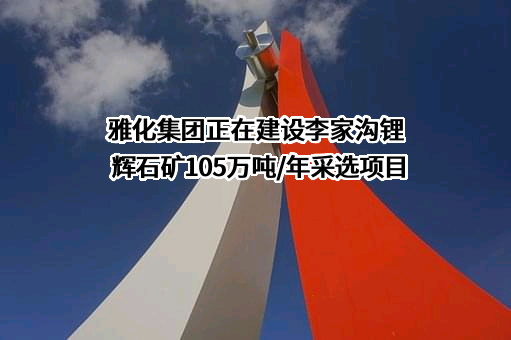 四川雅化实业集团股份有限公司