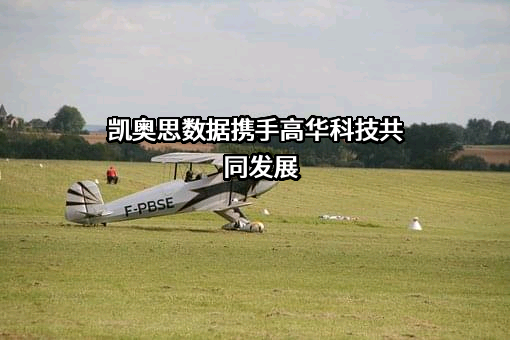 柳州高华科技有限公司