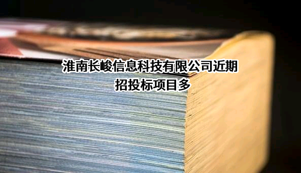 淮南长峻信息科技有限公司近期招投标项目多