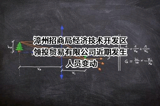 漳州招商局经济技术开发区领投贸易有限公司