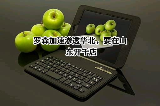 罗森（中国）投资有限公司