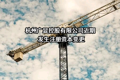 杭州广显控股有限公司