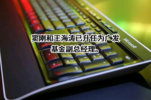 广发基金管理有限公司