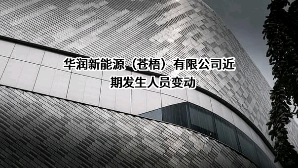 华润新能源（苍梧）有限公司