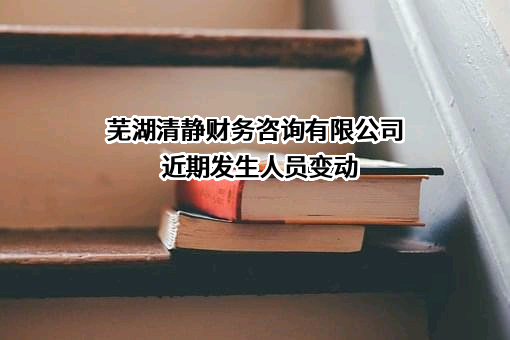 芜湖清静财务咨询有限公司