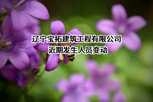辽宁宝拓建筑工程有限公司