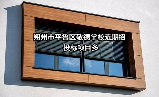 朔州市平鲁区敬德学校