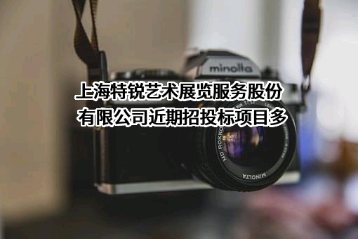 上海特锐艺术展览服务股份有限公司