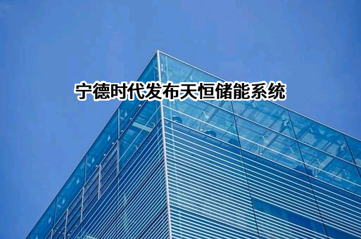 宁德时代新能源科技股份有限公司