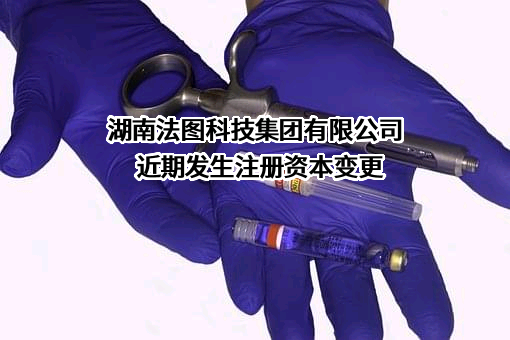 湖南法图科技集团有限公司