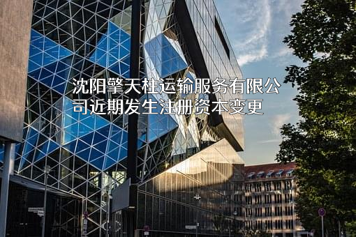 沈阳擎天柱运输服务有限公司