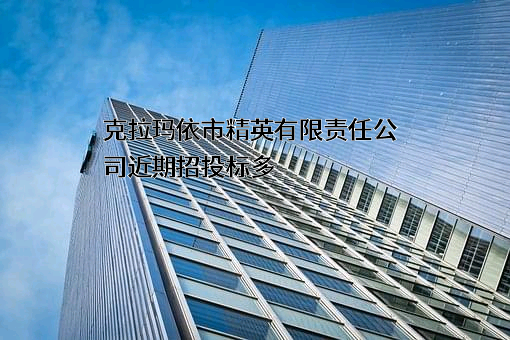 克拉玛依市精英有限责任公司