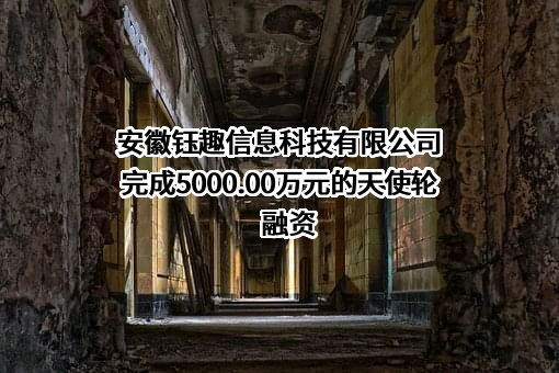 安徽钰趣信息科技有限公司完成5000.00万元的天使轮融资