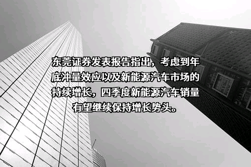 东莞证券股份有限公司