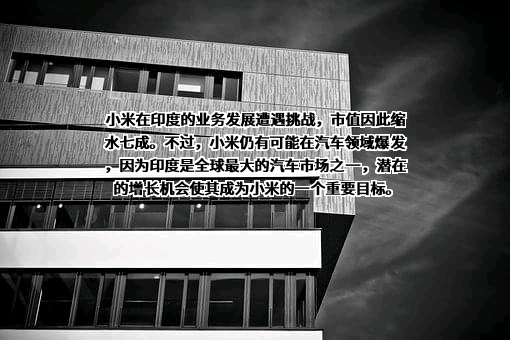 松下电器（中国）有限公司