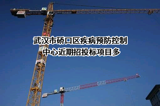 武汉市硚口区疾病预防控制中心