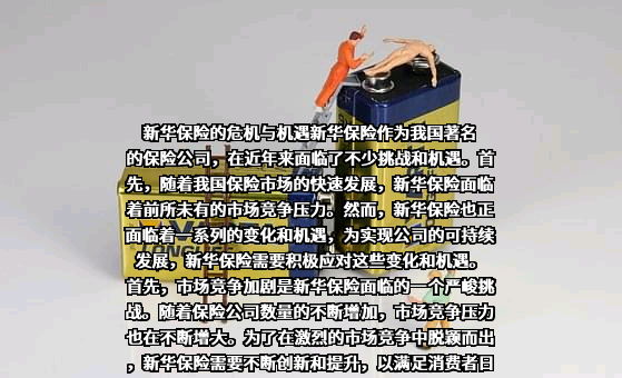 新华人寿保险股份有限公司