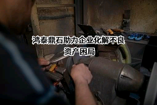 鸿泰鼎石资产管理有限责任公司