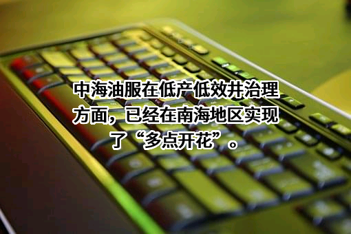 中海油田服务股份有限公司