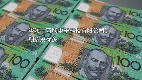 岑溪市万联电子科技有限公司