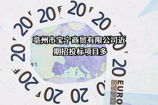 亳州市宝宁商贸有限公司