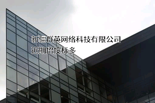 新疆群英网络科技有限公司