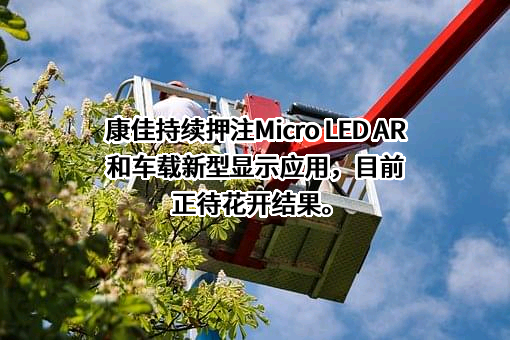 康佳集团股份有限公司