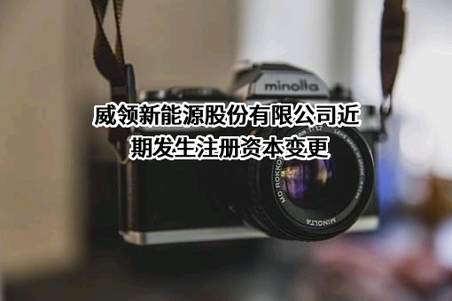 威领新能源股份有限公司