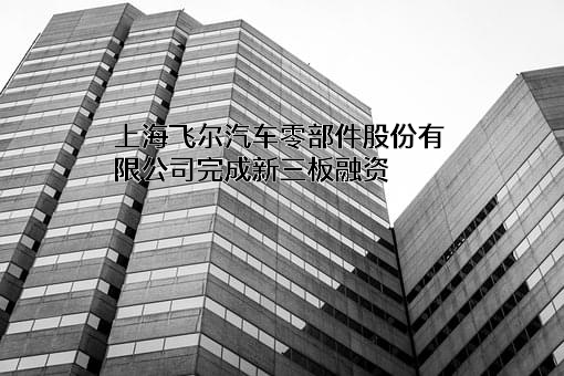 上海飞尔汽车零部件股份有限公司