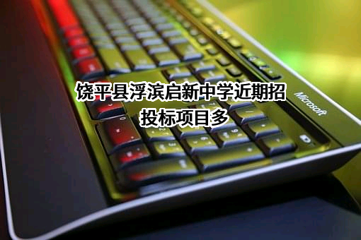饶平县浮滨启新中学