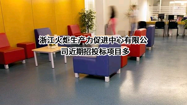 浙江火炬生产力促进中心有限公司