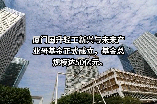 厦门轻工集团有限公司
