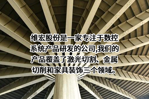 上海维宏电子科技股份有限公司