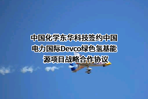 中国电力国际发展有限公司