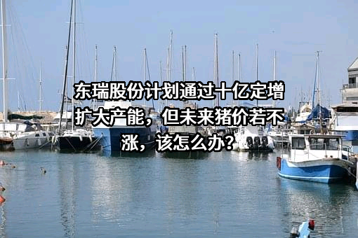 东瑞食品集团股份有限公司