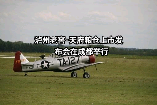 泸州老窖股份有限公司