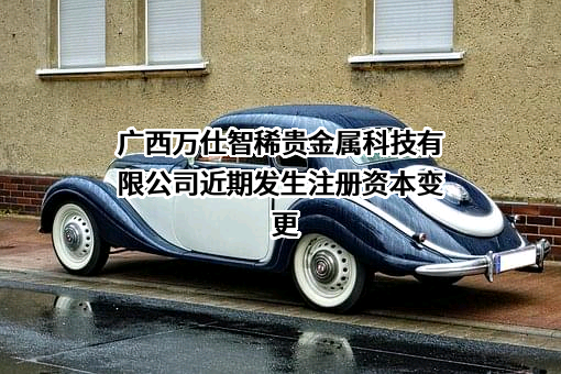 广西万仕智稀贵金属科技有限公司
