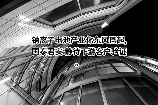 国泰君安证券股份有限公司