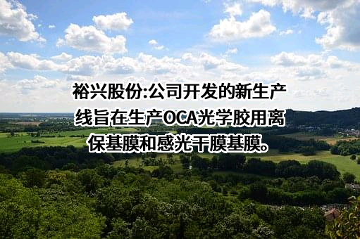 江苏裕兴薄膜科技股份有限公司