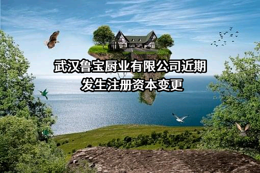 武汉鲁宝厨业有限公司