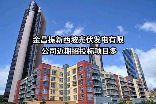 金昌振新西坡光伏发电有限公司