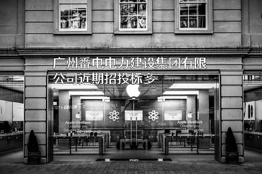 广州番电电力建设集团有限公司