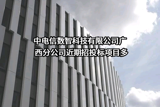 中电信数智科技有限公司广西分公司