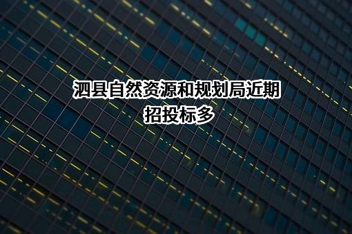 泗县自然资源和规划局