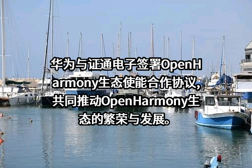 华为技术有限公司