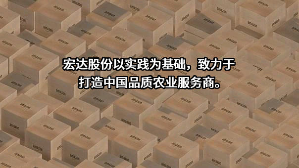 四川宏达股份有限公司
