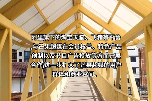芒果超媒股份有限公司